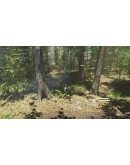 Bird (Steam Gift Россия)