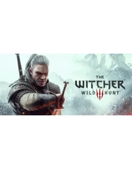 The Witcher 3 III Wild Hunt Steam Offline