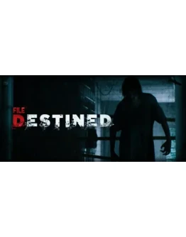 File Destined Steam Offline