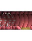 Bad-Draw STEAM KEY REGION FREE GLOBAL ROW