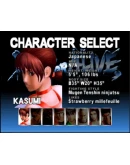 DEAD OR ALIVE 1 Ultimate XBOX На Любой Регион