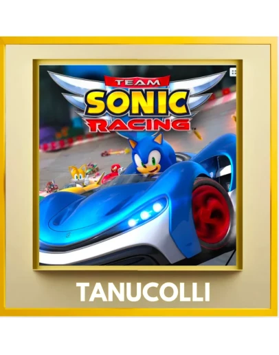 Team Sonic Racing (PS/PS4/PS5/RU) П1 - Оффлайн