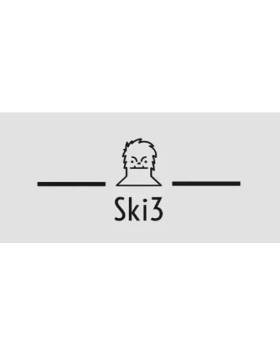 Ski3 STEAM KEY REGION FREE GLOBAL ROW