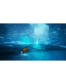 Spirit of the North: Enhanced Edition Xbox активация