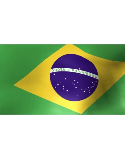 СТИМ БРАЗИЛИЯПОДАРОЧНАЯ КАРТАКОД КОШЕЛЬКА 24/7