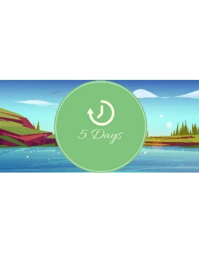 5 Days STEAM KEY REGION FREE GLOBAL ROW