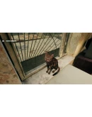 G.O.P.O.T.A Г.О.П.О.Т.ААВТОДОСТАВКА STEAM GIFT РОССИЯ