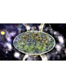 World Turtles АВТОДОСТАВКА STEAM GIFT РОССИЯ