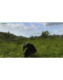 Eagle Hunting Journey STEAM KEY REGION FREE GLOBAL ROW