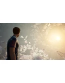 Twin Mirror (Steam Gift Россия)