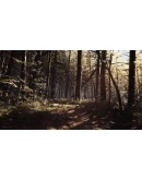 Blair Witch Xbox One &amp Xbox Series XS активация