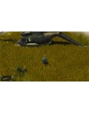 ATOM RPG Supporter Edition Xbox OneXS активация