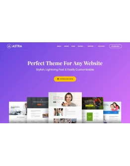 DIVIAstraElementorRankMathWP-Rocket PRO LicenseKEY