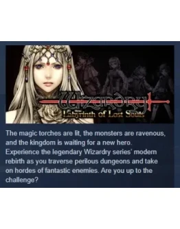 Wizardry: Labyrinth of Lost Souls АВТОДОСТАВКА STEAM