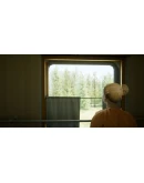 Russian Train Trip 2АВТОДОСТАВКА Steam Россия