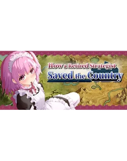 How a Retired Strategist Saved the Country STEAM GIFT