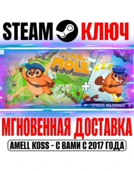Mail Mole + 'Xpress Deliveries Steam Ключ РФ+Мир