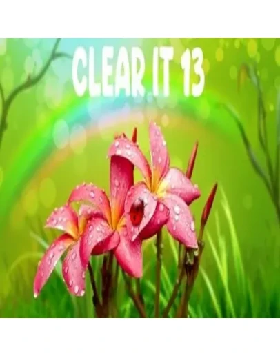 ClearIt 13 (Steam key / Region Free)