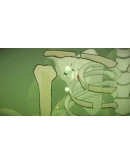 Island Bender STEAM KEY REGION FREE GLOBAL ROW