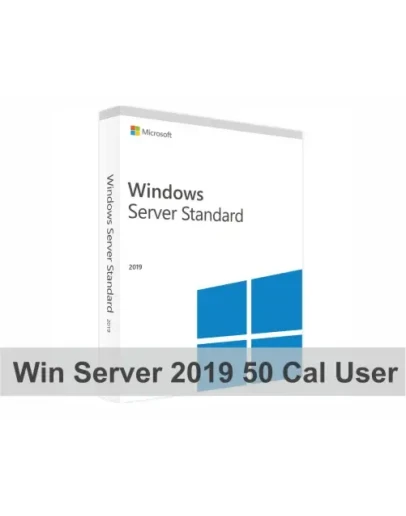 Microsoft Windows 2019 Server Standard CAL USER