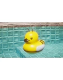 Placid Plastic Duck Simulator - Ducks, Please