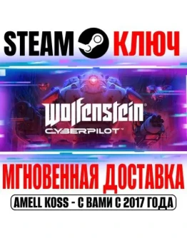 Wolfenstein: Cyberpilot Steam VR Ключ РФ+Мир +Бонус