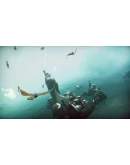 The Falconeer Xbox One &amp Xbox Series XS активация