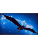 The Falconeer Xbox One &amp Xbox Series XS активация