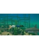 Captain BonesАВТОДОСТАВКА Steam Россия