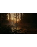 Alan Wake 2 XBOX SERIES XS Ключ