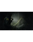 Alan Wake 2 XBOX SERIES XS Ключ