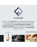 Flatsome 3.18.2 - Русификация премиум темы