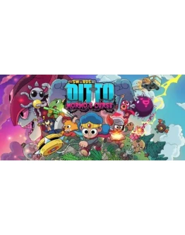The Swords of Ditto Mormos Curse steam gift RU The Swords of Ditto Mormos Curse steam gift RU