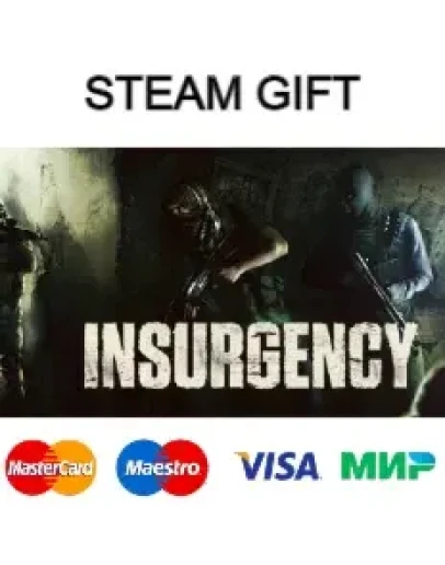 Insurgency steam gift RU