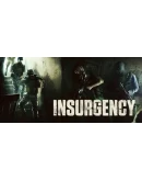 Insurgency steam gift RU