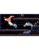 Chronicles of 2 Heroes: Amaterasu's WrathSteam RU