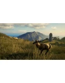 theHunter Call of the Wild - Te Awaroa National Pack