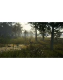 theHunter Call of the Wild - Te Awaroa National Pack