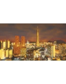 Cities: Skylines - Content Creator Pack: Art Deco DLC