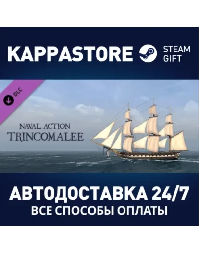Naval Action - Trincomalee DLCАВТОДОСТАВКА Steam