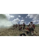 Mount &amp Blade: Warband - Napoleonic Wars DLCSteam RU