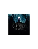 Slender: The Arrival+Lone Survivor+5 Игр USA PS4/PS5