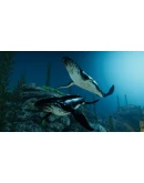 Blue EpicАВТОДОСТАВКА Steam Россия