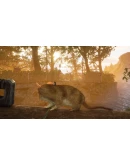 Smalland: Survive the Wilds SteamРФ+Весь МирKey+