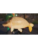 Fishing Sim World: Pro Tour Deluxe Xbox активация