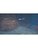 Aquarist Xbox One &amp Xbox Series XS активация