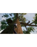 Away : The Survival Series Xbox OneXS активация