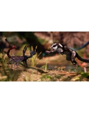 Away : The Survival Series Xbox OneXS активация