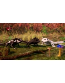 Away : The Survival Series Xbox OneXS активация