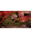 Away : The Survival Series Xbox OneXS активация